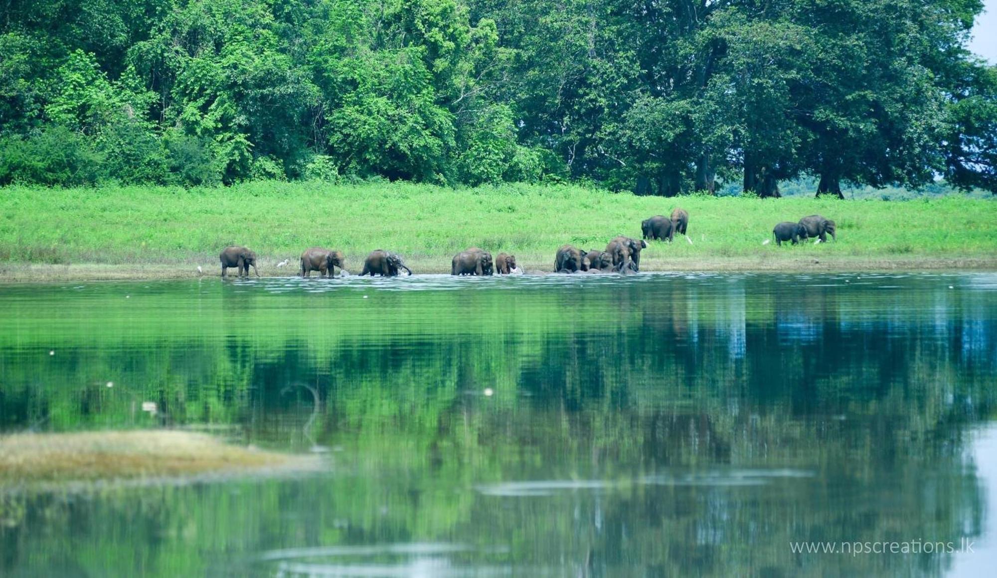 River Paradise Safari House With Cooking Class Udawalawe Bagian luar foto