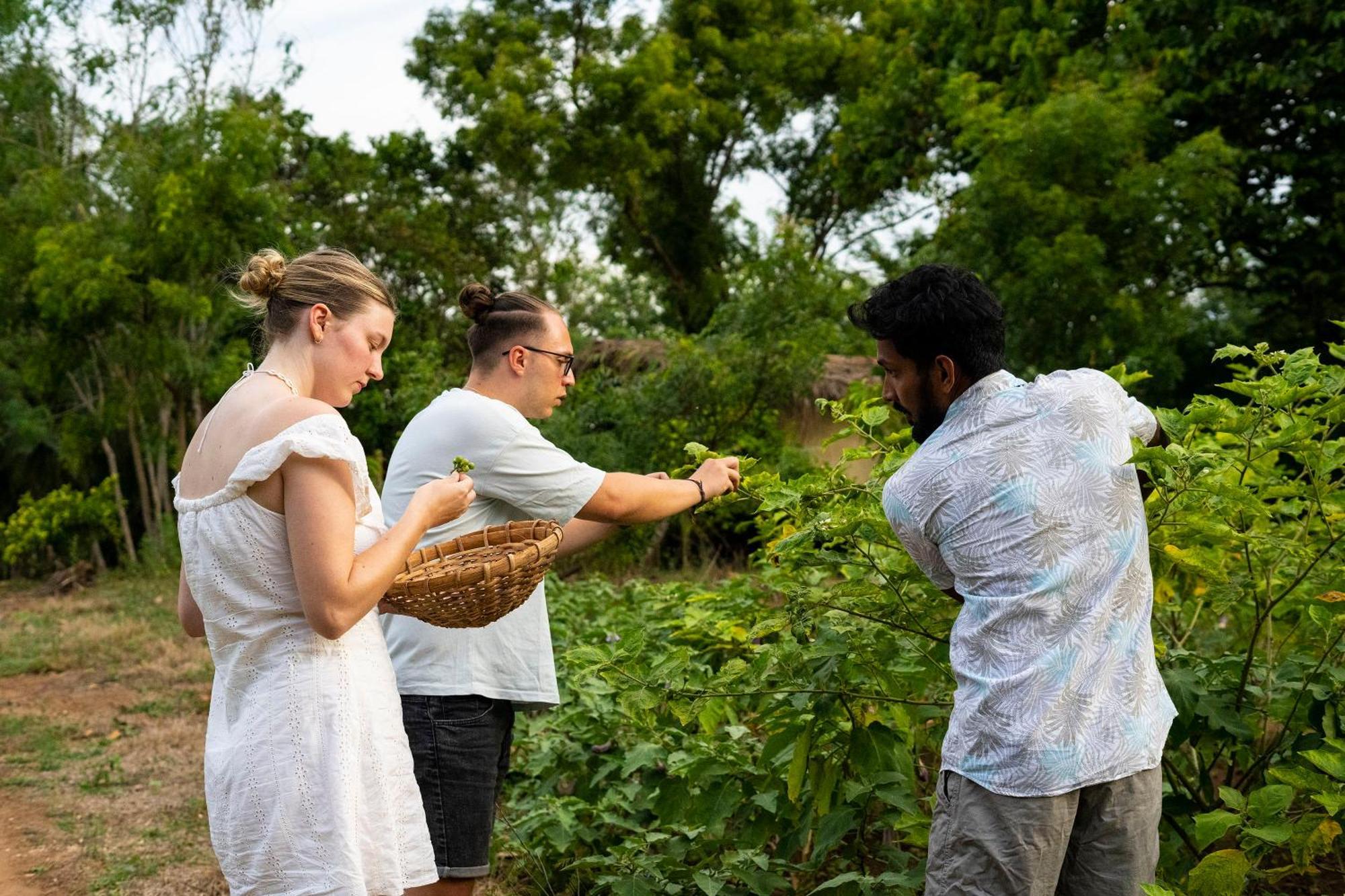 River Paradise Safari House With Cooking Class Udawalawe Bagian luar foto
