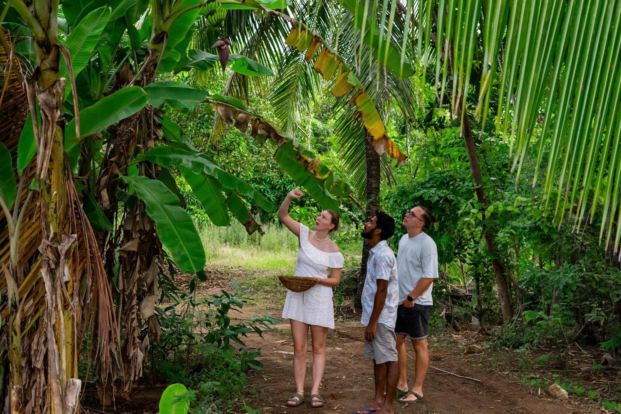 River Paradise Safari House With Cooking Class Udawalawe Bagian luar foto