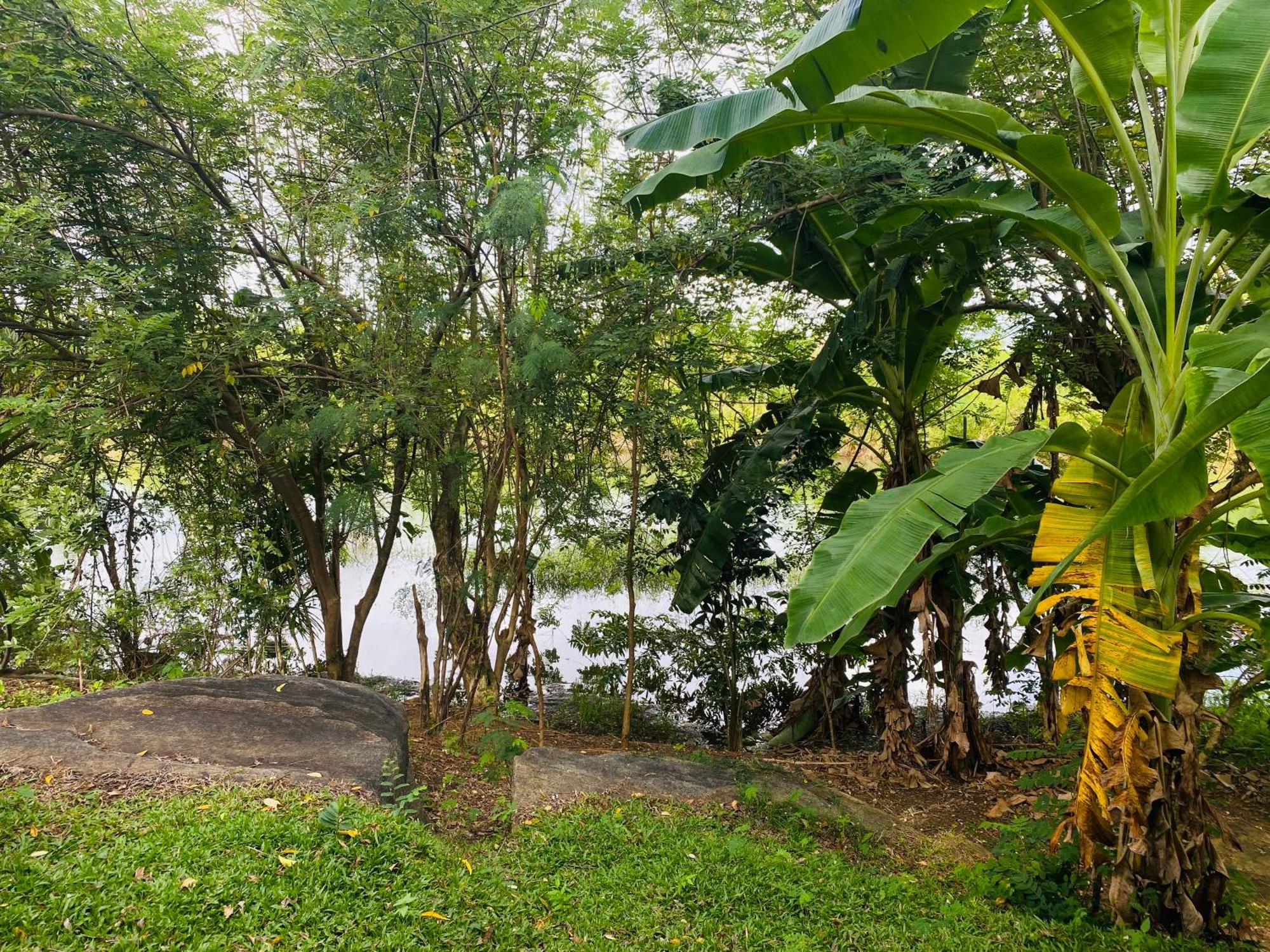 River Paradise Safari House With Cooking Class Udawalawe Bagian luar foto