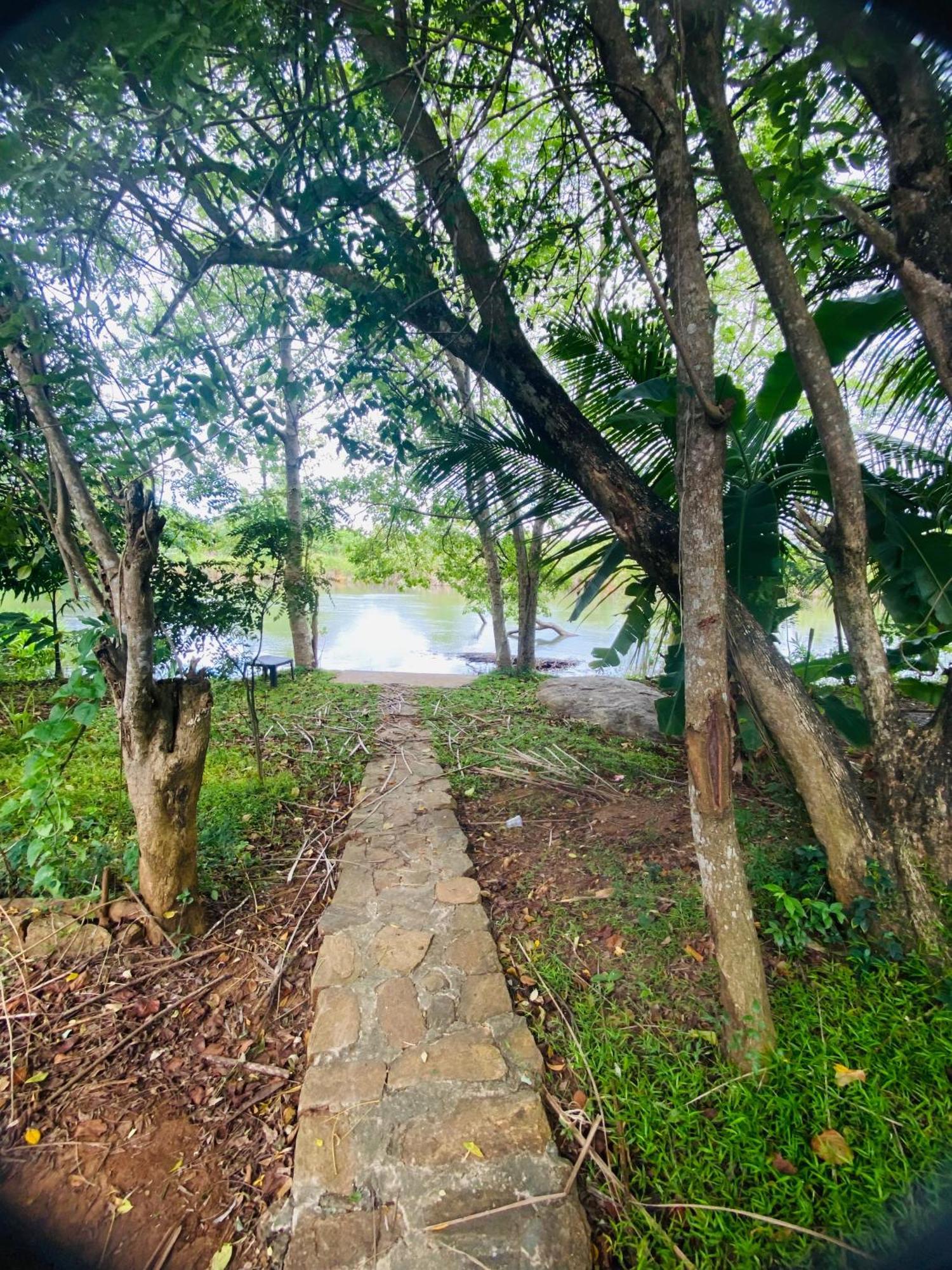 River Paradise Safari House With Cooking Class Udawalawe Bagian luar foto