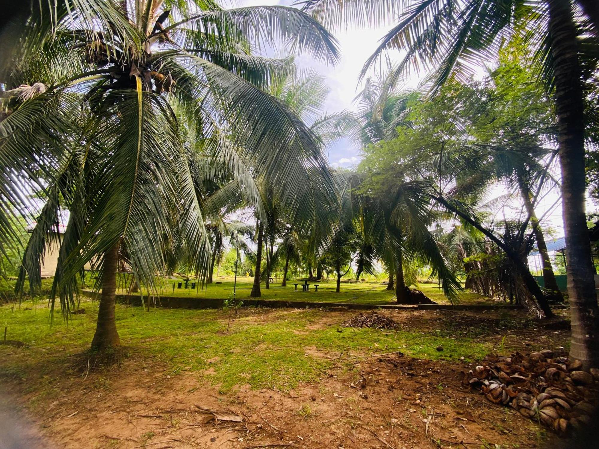 River Paradise Safari House With Cooking Class Udawalawe Bagian luar foto